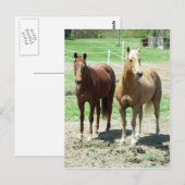 Carte Postale Gumpy et Limited (Devant / Derrière)