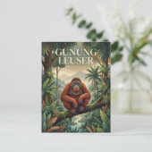 Carte Postale Gunung Leuser Indonésie (Debout devant)