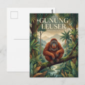 Carte Postale Gunung Leuser Indonésie (Devant / Derrière)