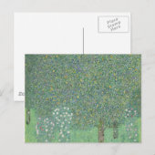 Carte Postale Gustav Klimt - Rosiers sous les arbres (Devant / Derrière)