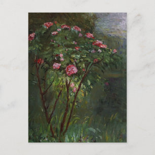Carte Postale Gustave Caillebotte - Rose Bush en fleurs