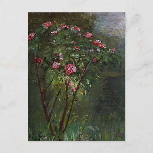 Carte Postale Gustave Caillebotte - Rose Bush en fleurs (Devant)