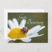 Carte Postale Gute Besserung mit Glücks-Marienkäfer (Devant / Derrière)