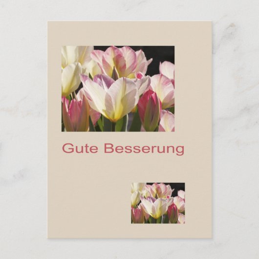 Carte Postale Gute Besserung Postkarte (Devant)