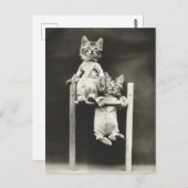 Carte Postale Gymnaste Kittens (Devant / Derrière)