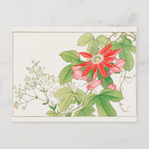Carte Postale Gypsophila, Fleur de la passion par Tanigami Konan