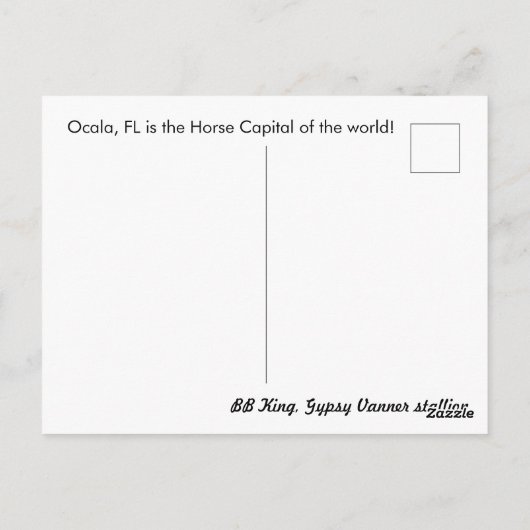 Carte postale Gypsy Or Gypsy Vanner BB King (Dos)