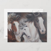 Carte Postale Gypsy Run (Devant / Derrière)