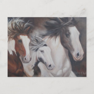 Carte Postale Gypsy Run