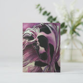 CARTE POSTALE GYPSY VANNER HORSE (Debout devant)