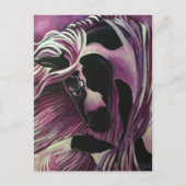 CARTE POSTALE GYPSY VANNER HORSE (Devant)