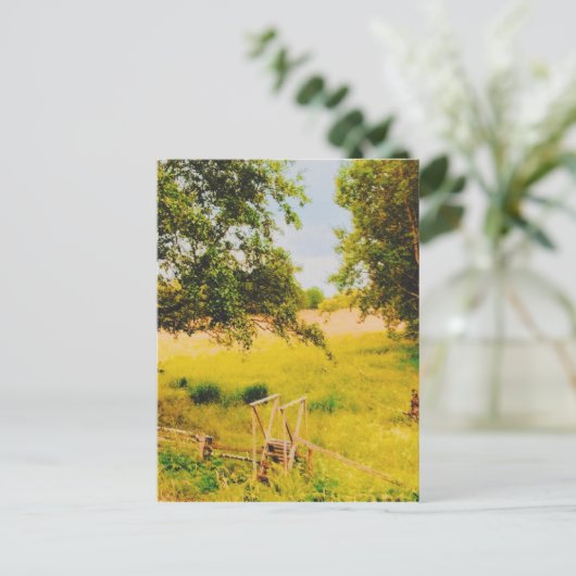 Carte Postale Gysinge Summer Field (Debout devant)