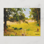 Carte Postale Gysinge Summer Field (Dos)