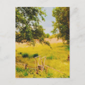 Carte Postale Gysinge Summer Field (Devant)