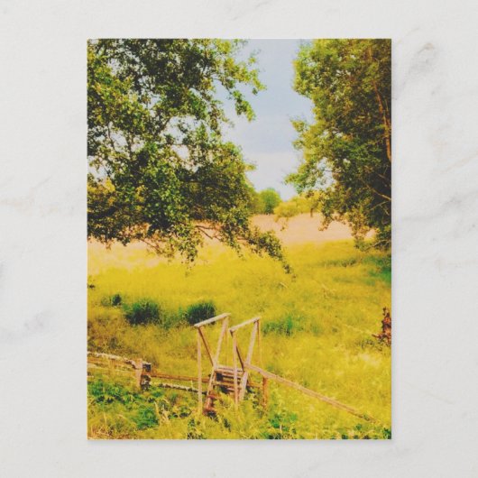 Carte Postale Gysinge Summer Field (Devant)