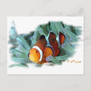 Carte Postale H2Oasis Clownfish