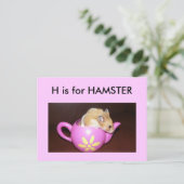 Carte Postale "H" est pour Hamster Alphabet (Debout devant)