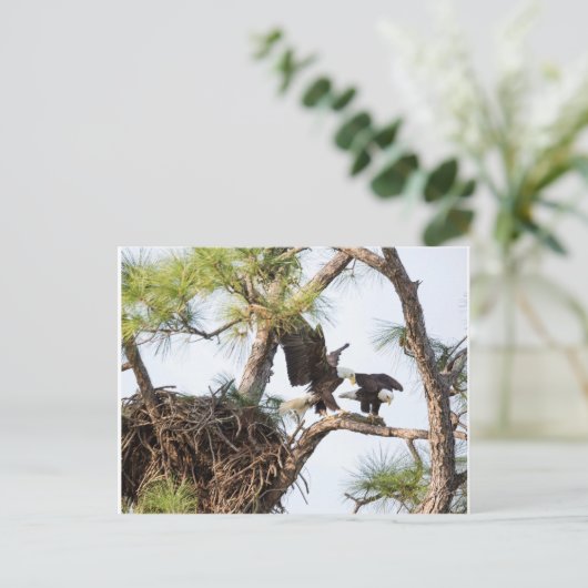 Carte postale H & M (Debout devant)