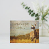 Carte Postale Habakkuk 3:18 Inspirationnel (Debout devant)