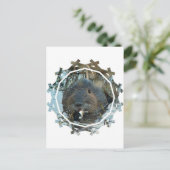 Carte postale Habitat Beavers (Debout devant)