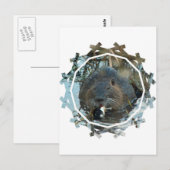 Carte postale Habitat Beavers (Devant / Derrière)