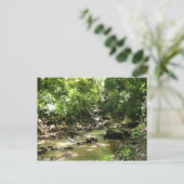 Carte Postale Habitation Céron 2 - Martinique, F.W.I. (Debout devant)