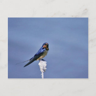 Carte Postale Hachette