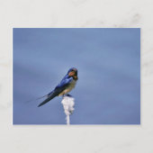 Carte Postale Hachette (Devant)