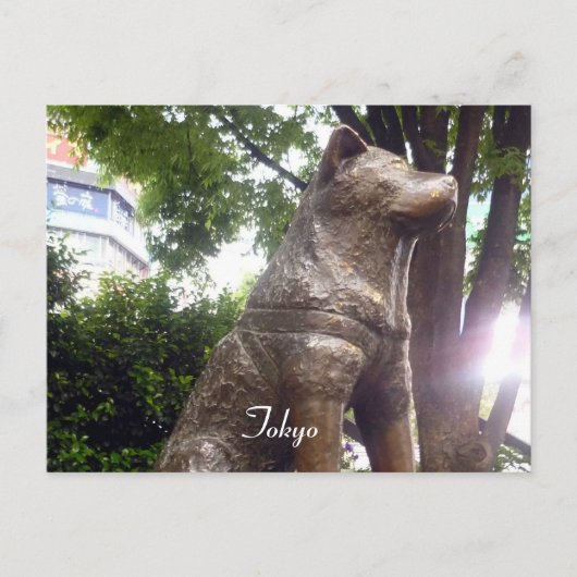 Carte Postale hachiko shibuya (Devant)