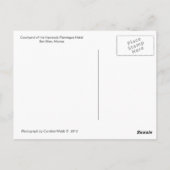 Carte postale Hacienda Flamants roses San Blas Mex (Dos)