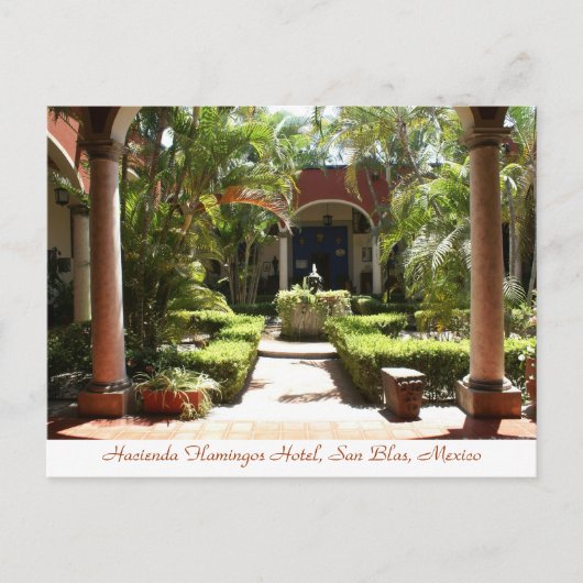 Carte postale Hacienda Flamants roses San Blas Mex (Devant)