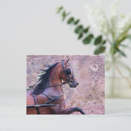 Carte Postale Hackney Grunge (Debout devant)