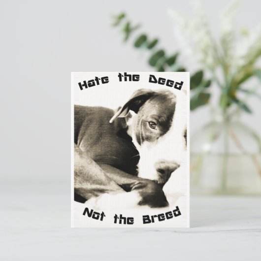 Carte Postale hadeed (Debout devant)