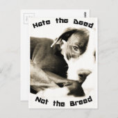 Carte Postale hadeed (Devant / Derrière)