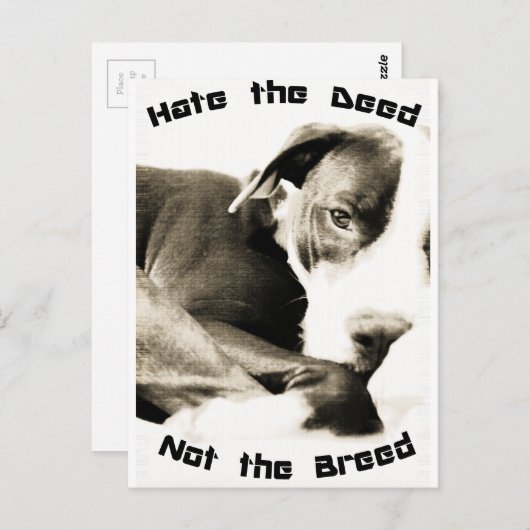 Carte Postale hadeed (Devant / Derrière)