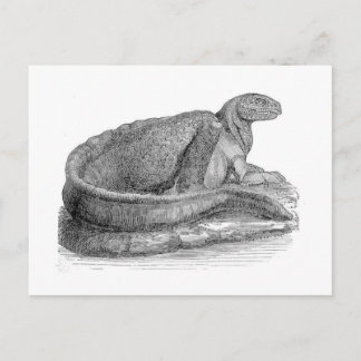 Carte Postale Hadrosaurus Sculpture Antique Impression