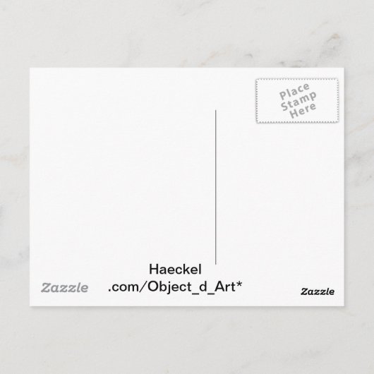 Carte Postale Haeckel (Dos)