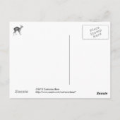 Carte Postale Haeckel Cerf à quatre cornes (Dos)