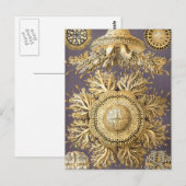 Carte Postale Haeckel Discomedusae (Devant / Derrière)