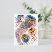 Carte Postale Haeckel Jellyfish (Debout devant)