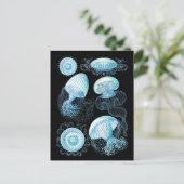 Carte Postale Haeckel Jellyfish (Debout devant)
