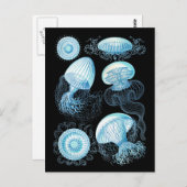 Carte Postale Haeckel Jellyfish (Devant / Derrière)