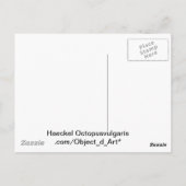 Carte Postale Haeckel Octopus (Dos)