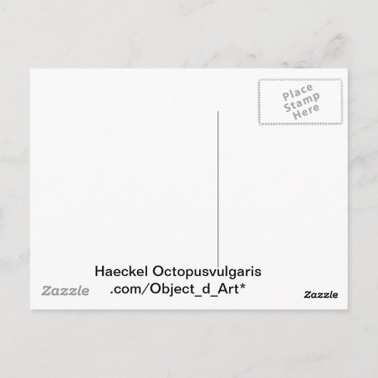 Carte Postale Haeckel Octopus (Dos)