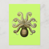 Carte Postale Haeckel Octopus (Devant)