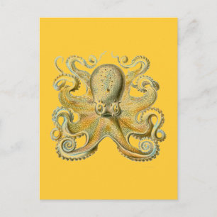 Carte Postale Haeckel Octopus