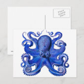 Carte Postale Haeckel Octopus Blue (Devant / Derrière)