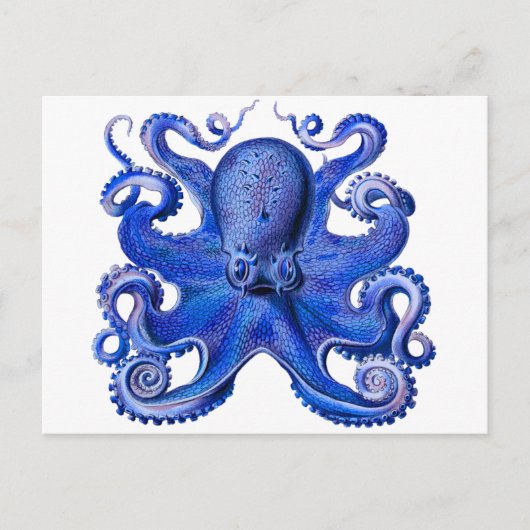 Carte Postale Haeckel Octopus Blue (Devant)