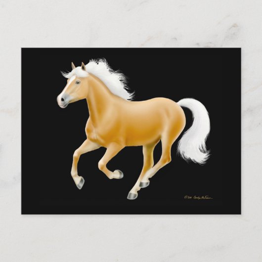 Carte postale Haflinger Palomino Horse (Devant)