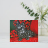 Carte Postale Haggis the Scottish Terrier (Debout devant)